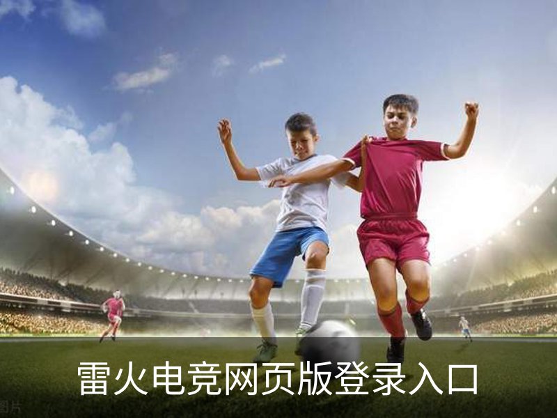 雷火电竞网页版登录入口概况